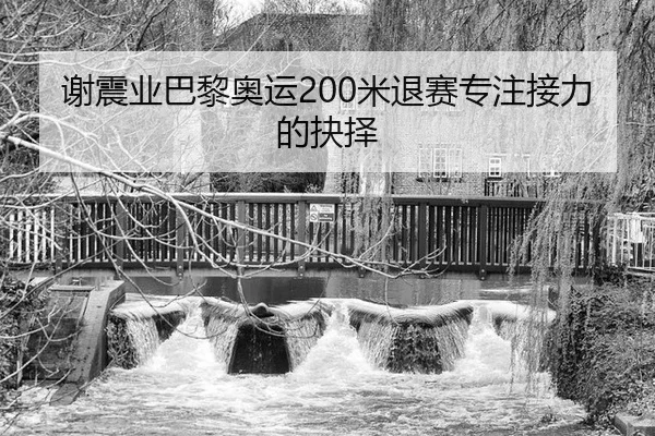 谢震业巴黎奥运200米退赛专注接力的抉择